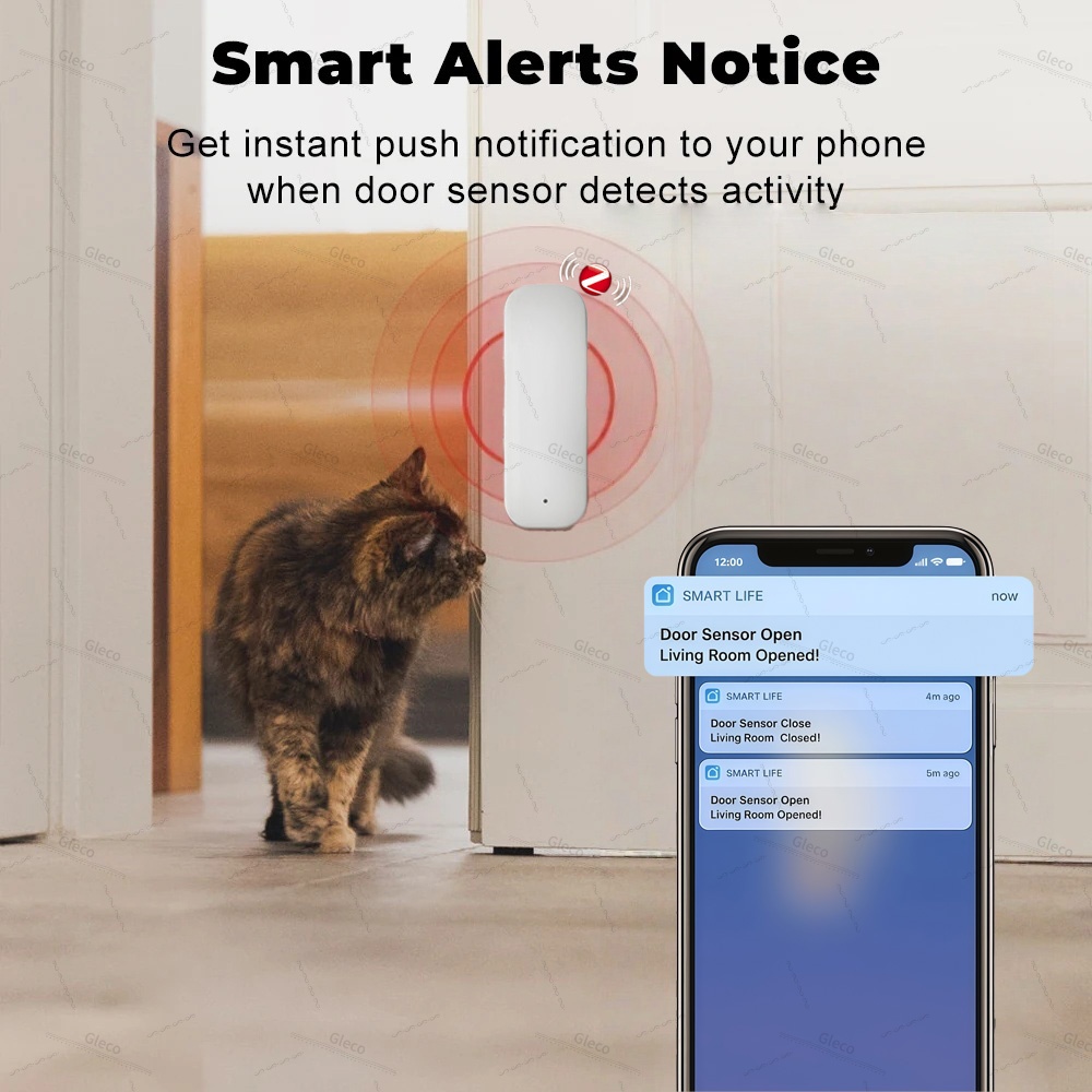Tuya Zigbee Door Window Sensor - Home Security Technology ulasan dan harga